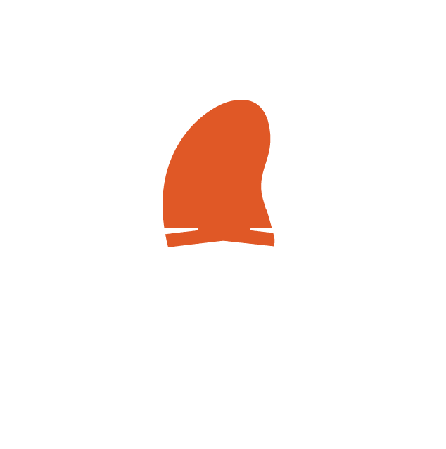 Drone Photography & Video
